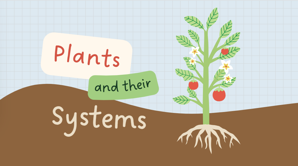 screenshot 2025 09 06 210020